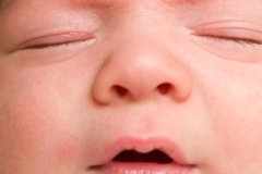 Closeup portrait of newborn